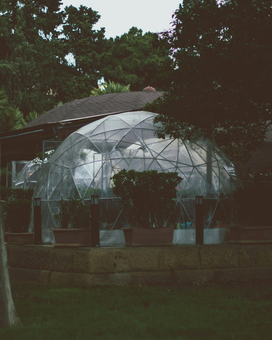 Geodesic Dome